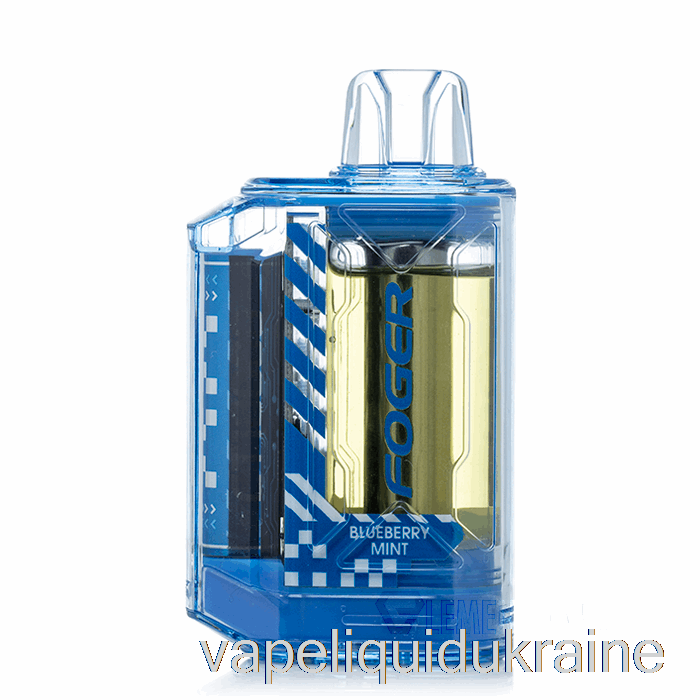 Vape Ukraine Foger CT10000 Disposable Blueberry Mint
